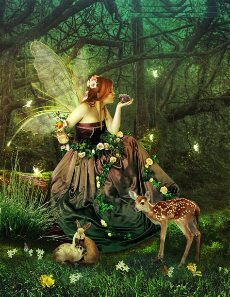 fairy illustrations free